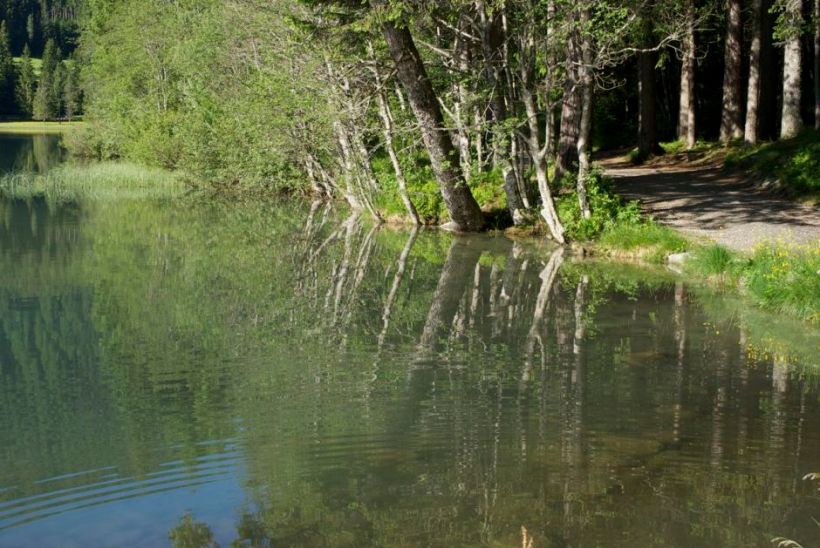 Reflections and ripples