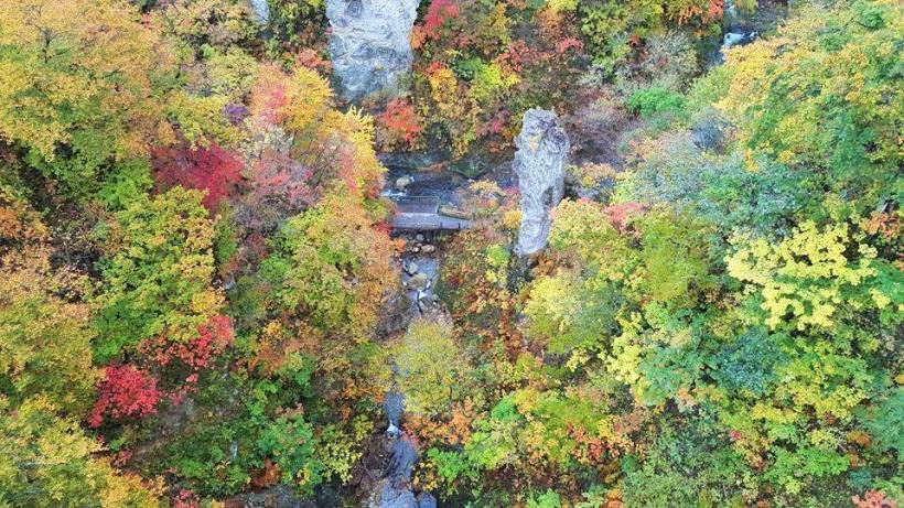 14572134_10154780402203578_3955094561032803196_n