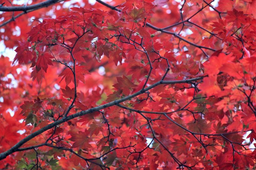 14853110_10154780401803578_7919688798122273736_o