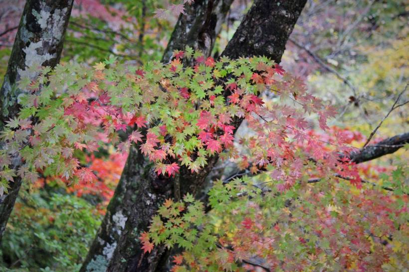 14876430_10154780401783578_7444967164751361073_o