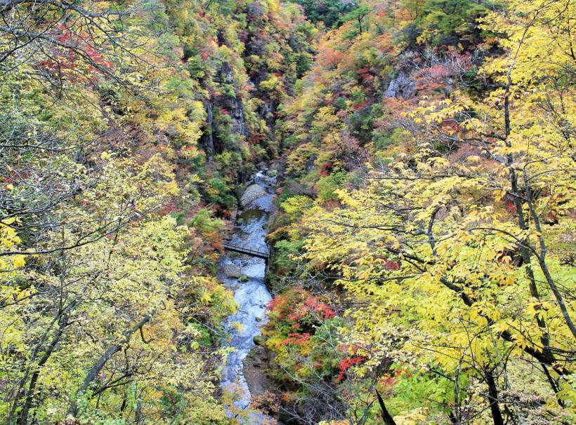 14876633_10154780401798578_5892560917559713407_o