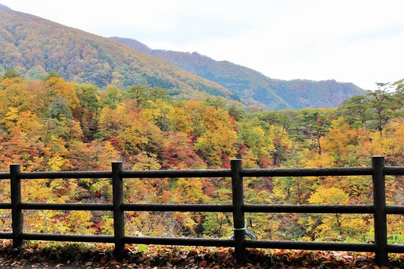 14882149_10154780401943578_1985132844190569010_o