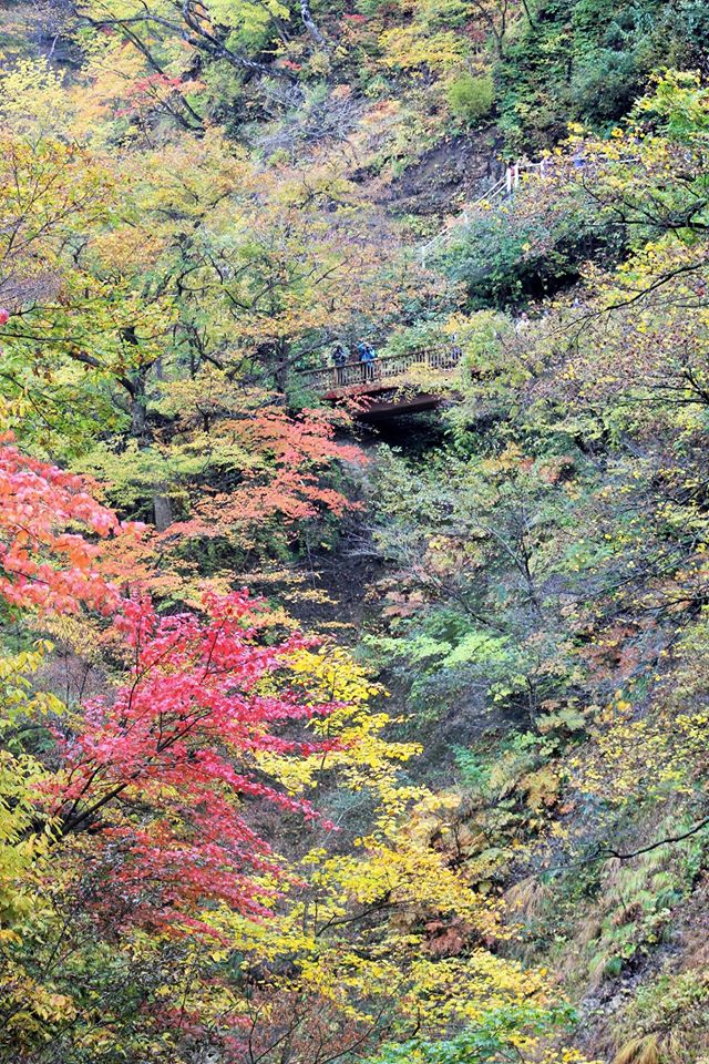 14883515_10154780402113578_7213235391315299334_o