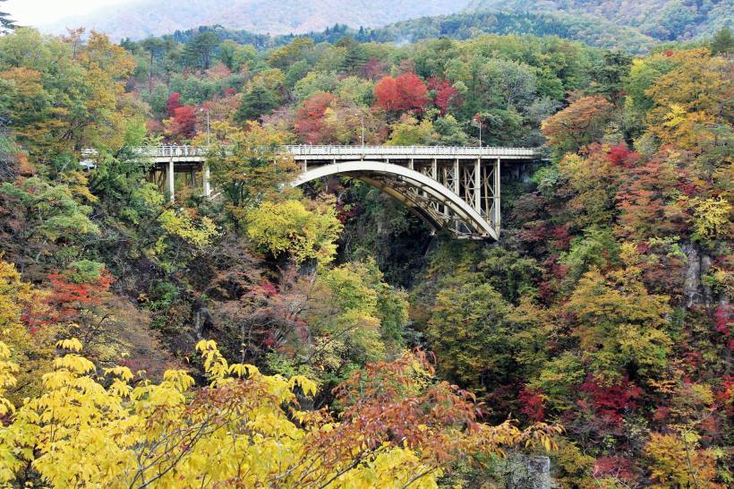 14902863_10154780401968578_1093888124649702479_o