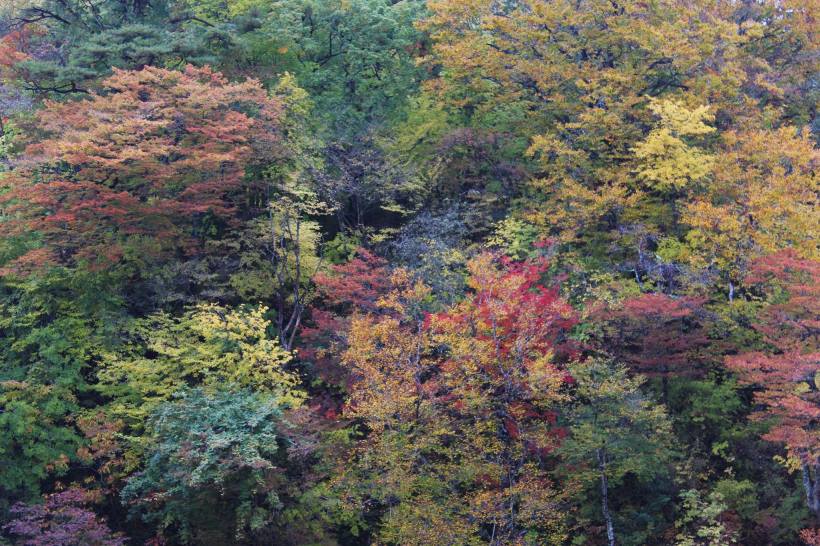 14919012_10154780401608578_3729877884644836892_o