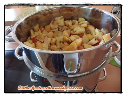 Apfelsaft Dampfentsafter, Sept. 2014