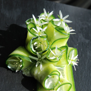 DSC_4580wild garlic tzatziki © www.ice-cream-magazine.com