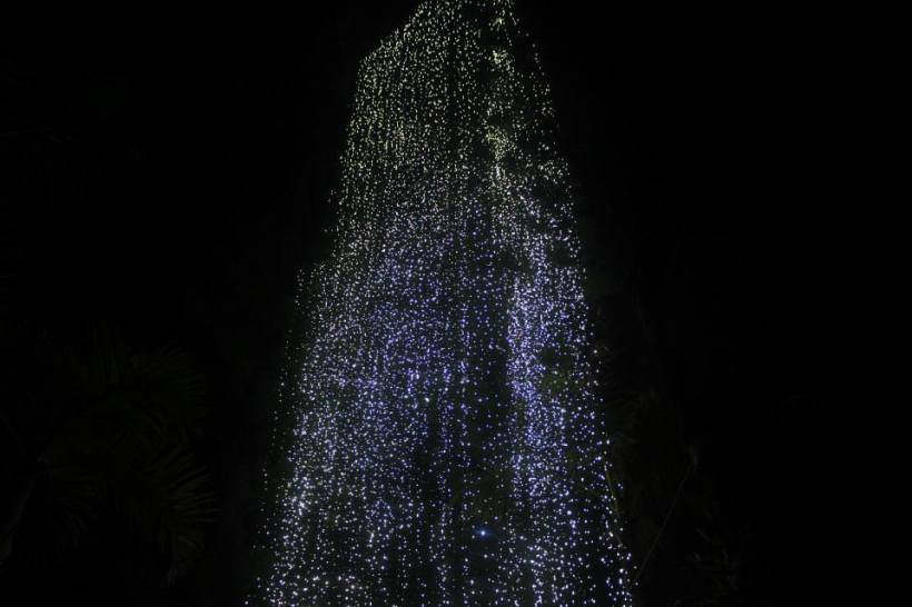 1484256_10152138882373578_521798568_n