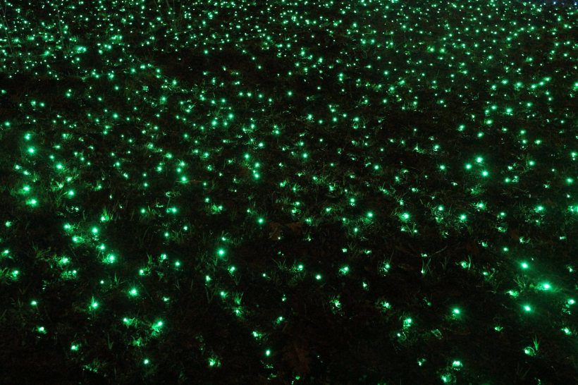 15235903_10154870580568578_322198809129941444_o