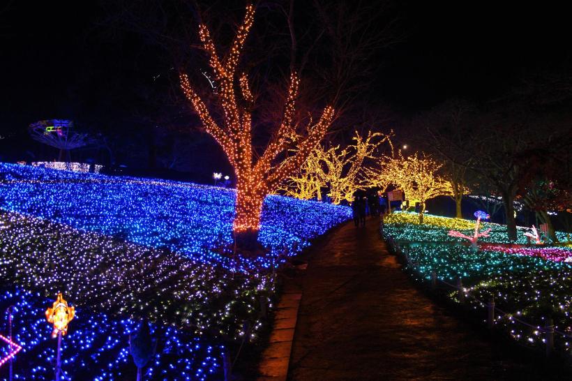 15288576_10154870580388578_8238522431125733732_o