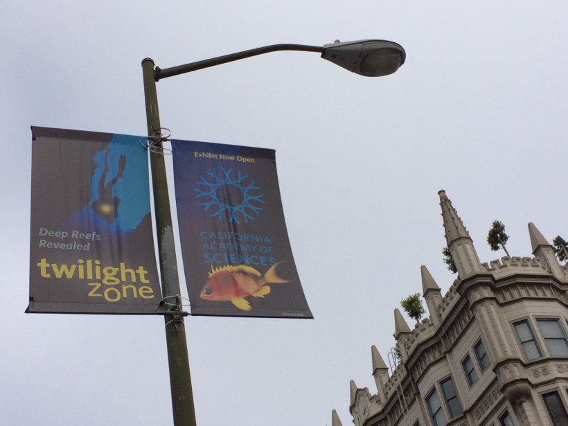 0-2016-07-06-17-02-38