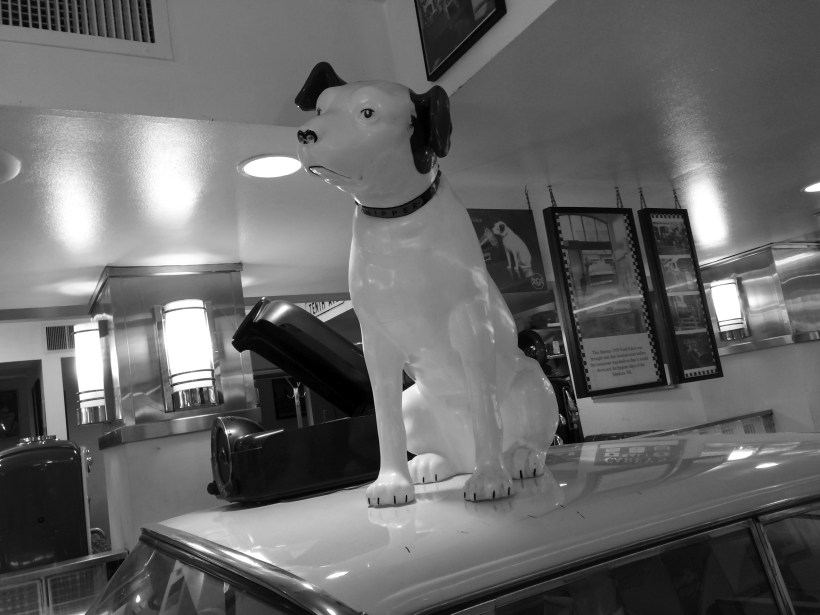 7-2016-07-05-15-24-59-nb